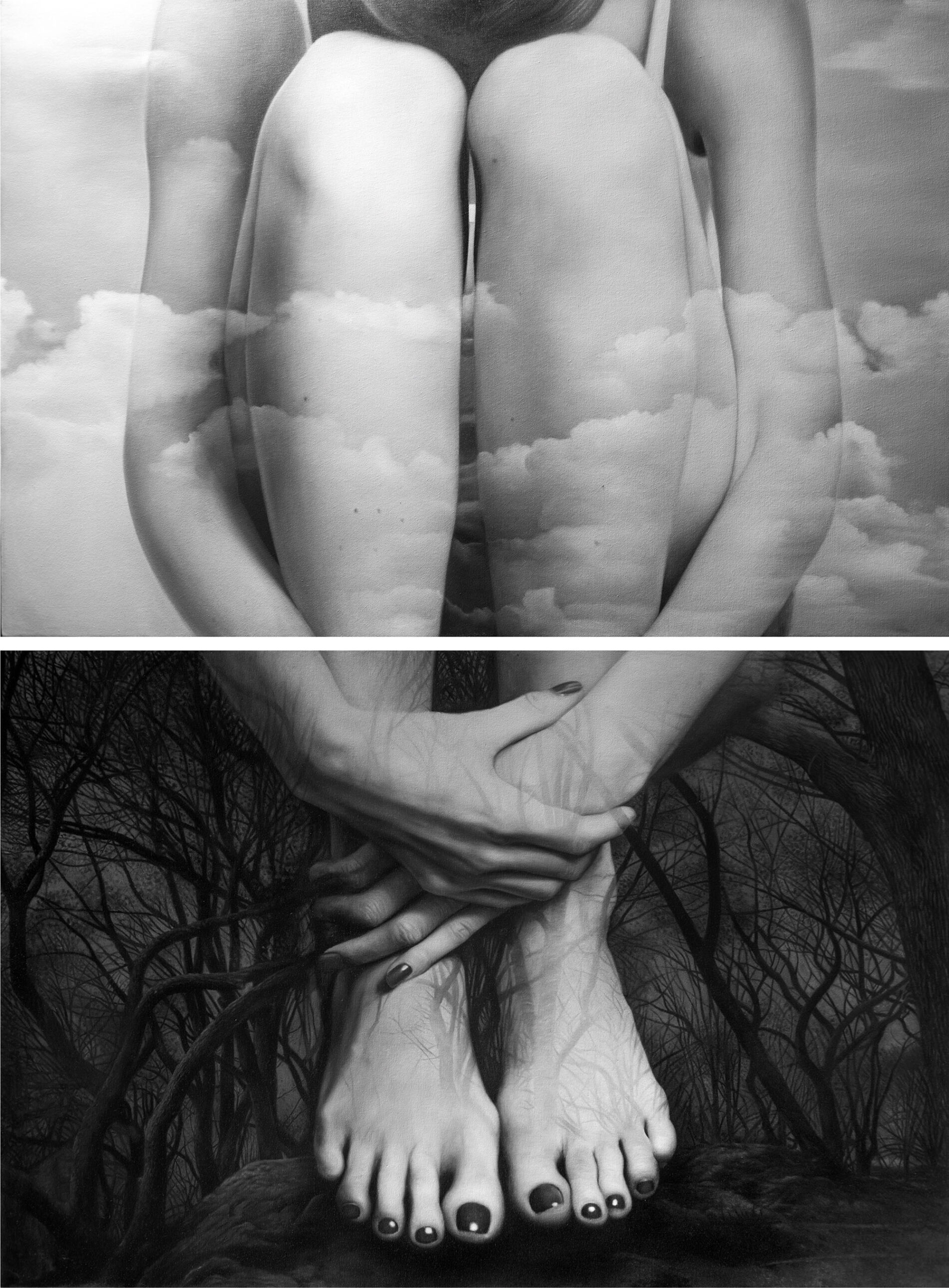 48” x 36” / 122 x 91 cm (dyptich, 24 x 36 in. / 61 x 91 cm each piece) | Oil on canvas | Private collection